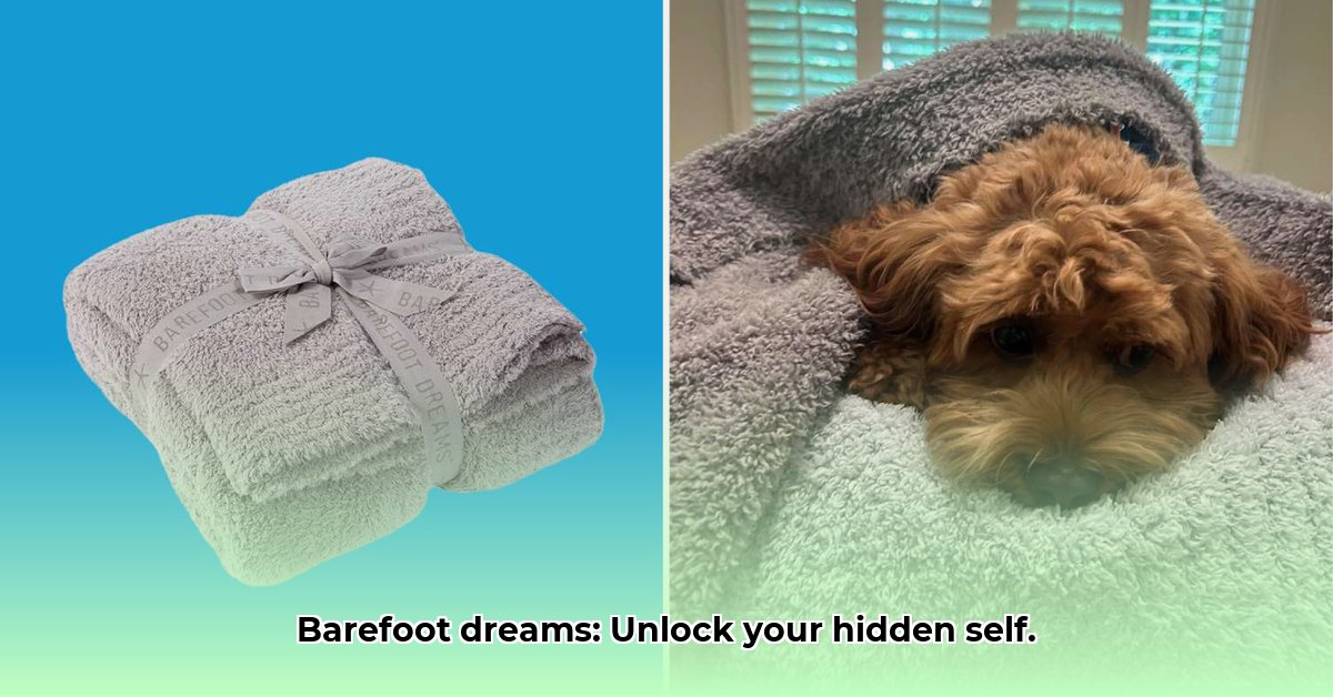being-barefoot-in-dreams